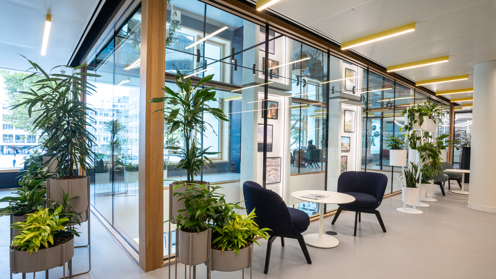 Unterschiedliche Grünpflanzen auf dem Gang, Sitzgruppe mit zwei Stühlen um einen Kaffeetisch.